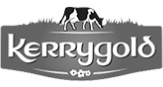 Kerrygold - client MRA Consulting